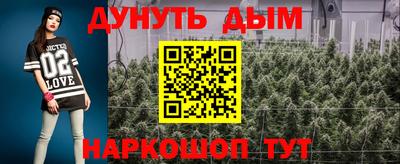 крисы Будённовск