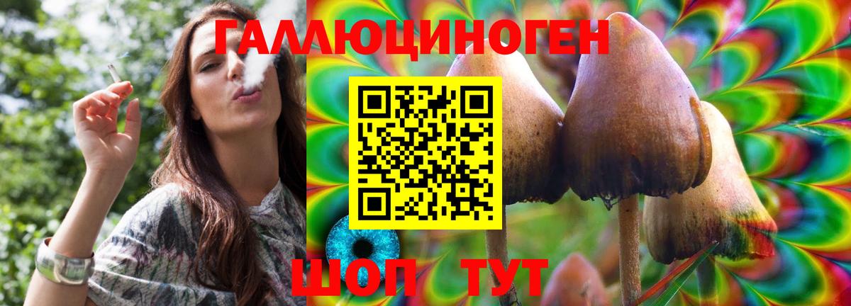 Галлюциногенные грибы мухоморы  Вход с VPN  где купить   Кунгур 